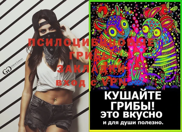 стаф Верхний Тагил