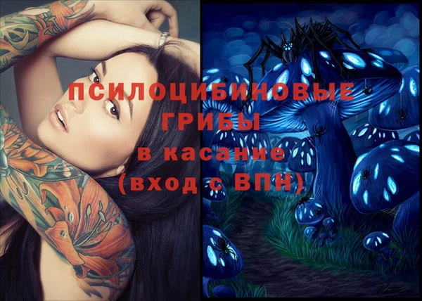 стаф Верхний Тагил